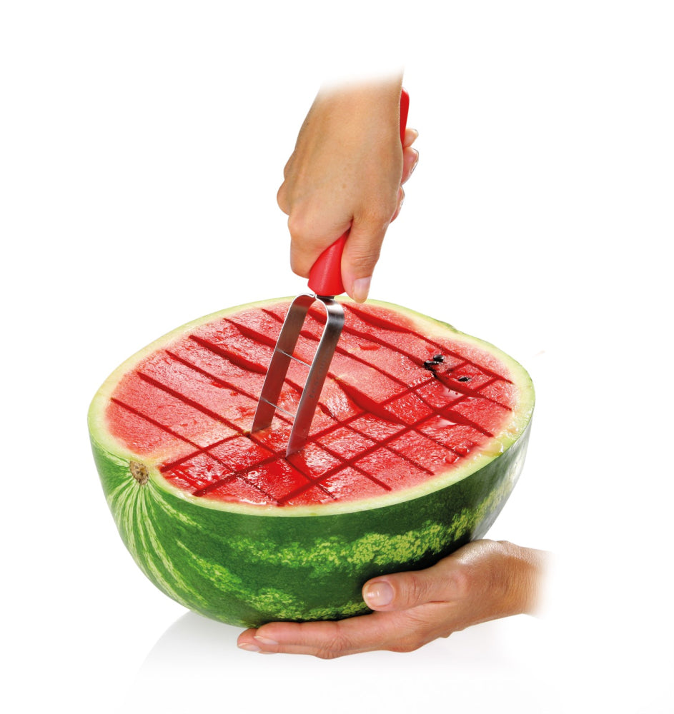 Melon kniv fra Tescoma